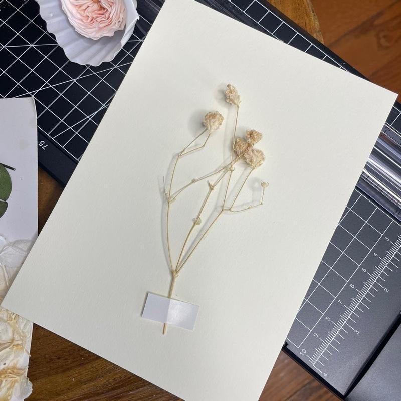 Preserved Mix Florals Style A