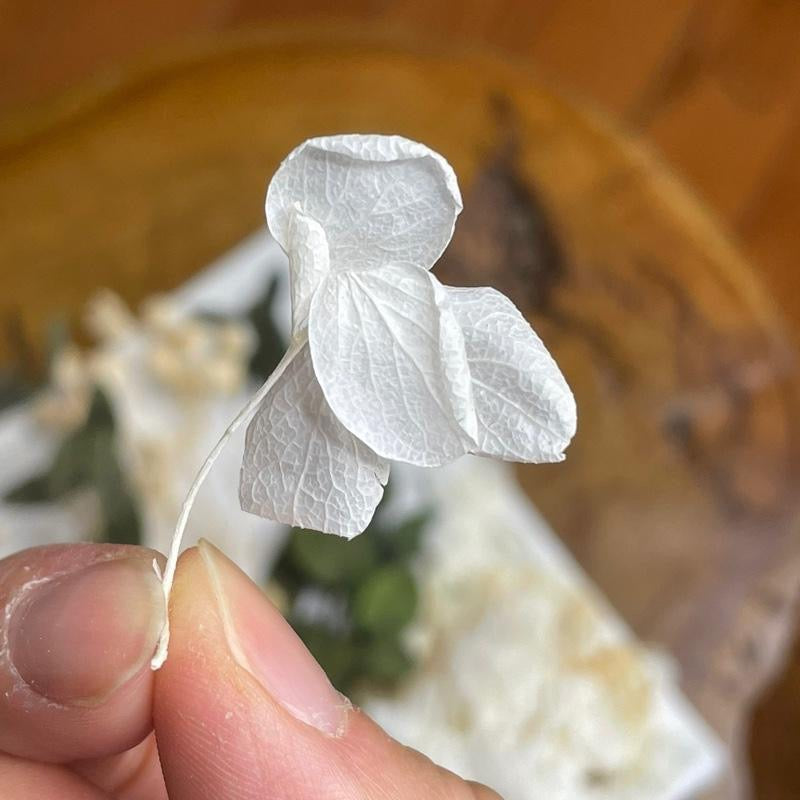 Preserved Mix Florals Style A