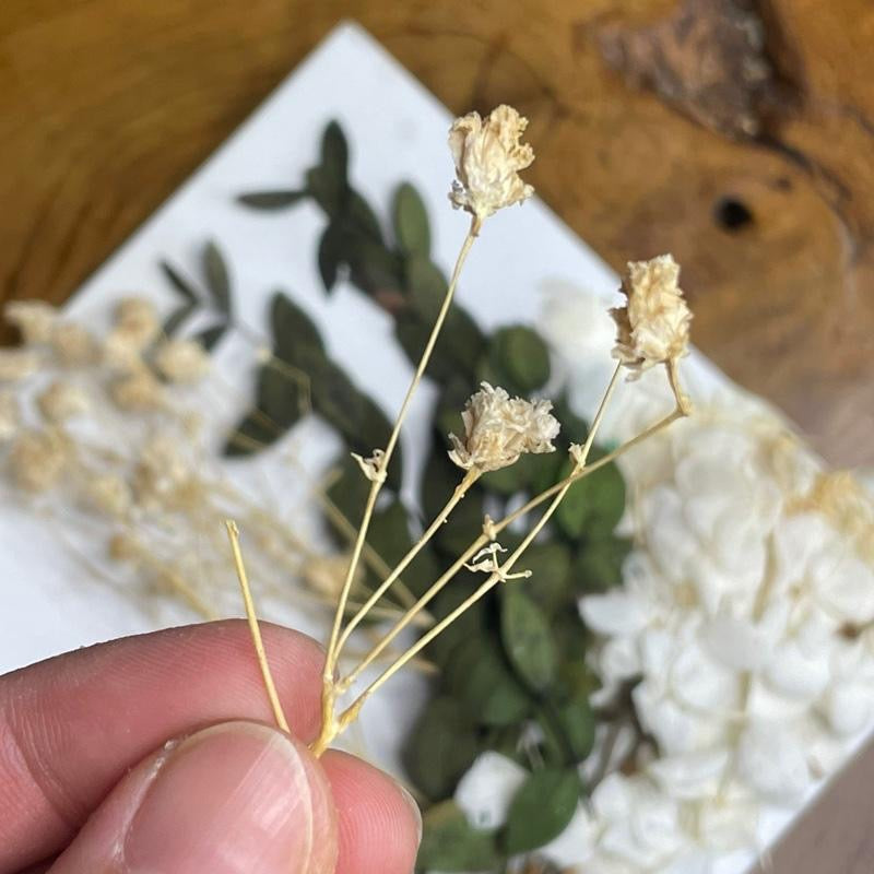 Preserved Mix Florals Style A