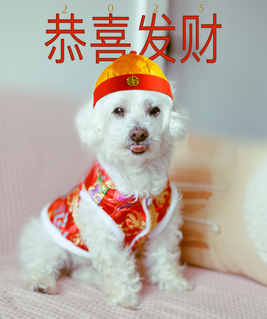 Treats and /or toys for the Pets